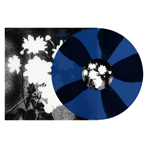 Loma Prieta  Last  Online Sale - Image 2